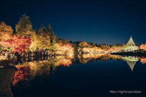 水面にライトアップされる紅葉が映る様子