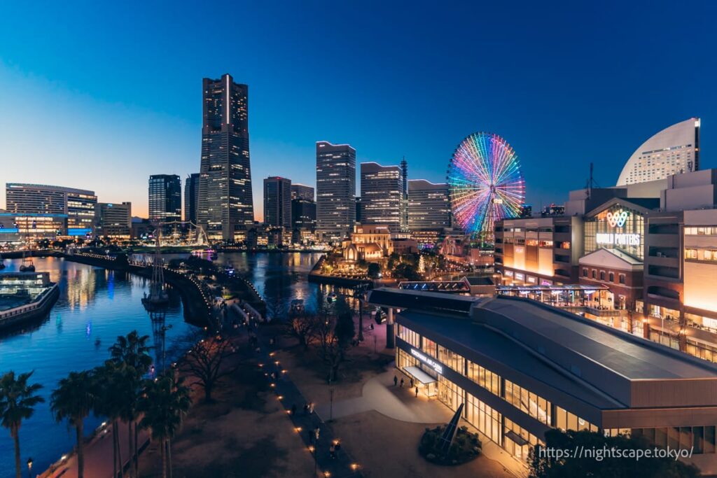 ナビオス横浜の夜景