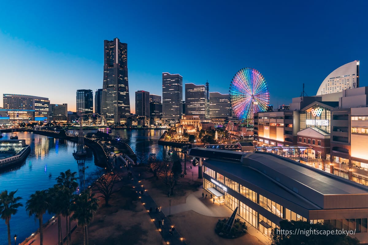 ナビオス横浜の夜景