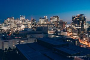 ホテルグランドアーク半蔵門の夜景