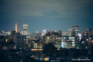 駒沢パーククォーターから見える東京タワー