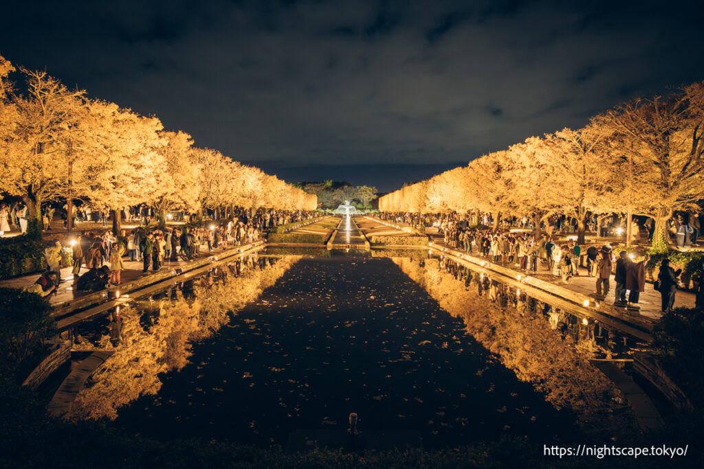 黄葉スポット「カナール」の夜景
