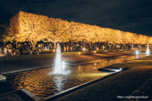 黄葉スポット「カナール」の夜景