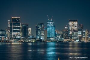 対岸に見える港区方面の高層ビル群