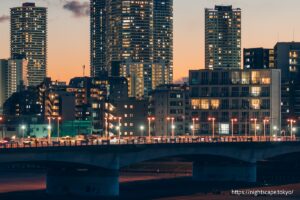 丸子橋を行き交う車両