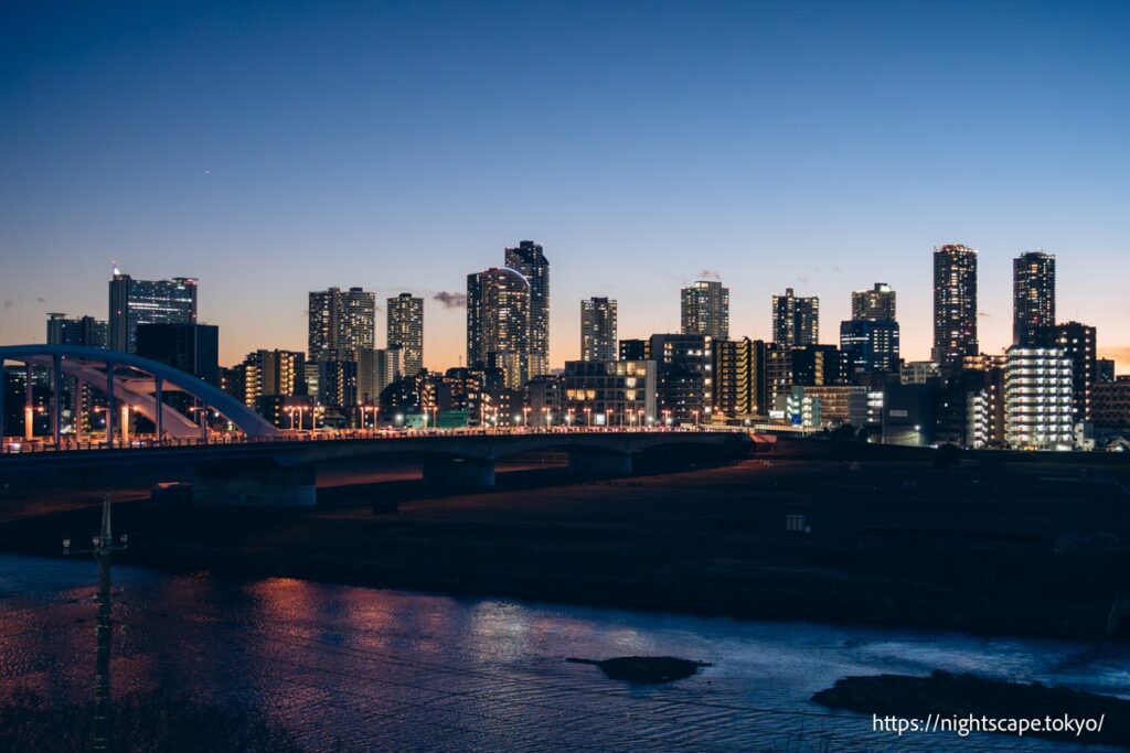 多摩川浅間神社 見晴台の夜景